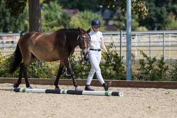 Bild 74 - Pony Akademie Turnier